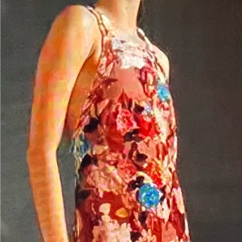 NWOT - Anthropologie –Burnout Velvet Floral Holter Dress -Size L